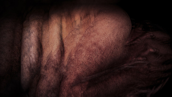 200116-4-29