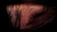200116-4-6