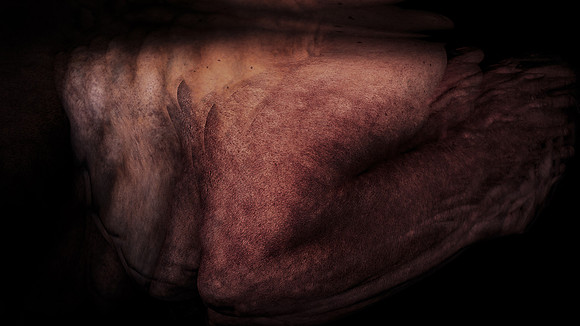 200116-4-6