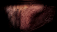200116-4-5