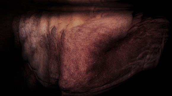 200116-4-5