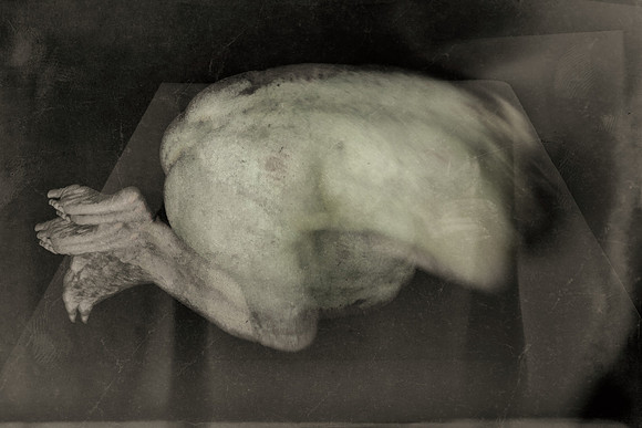 280314 #284-6
