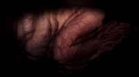 200116-4-1