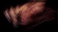 200116-4-10