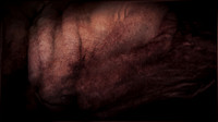 200116-4-13