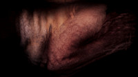 200116-4-4