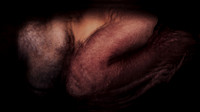 200116-4-19