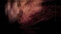 200116-4-14