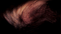200116-4-11