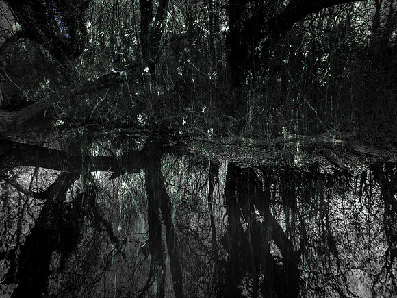 RIVER COLOUR-67