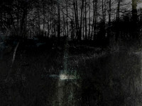 RIVER COLOUR-9