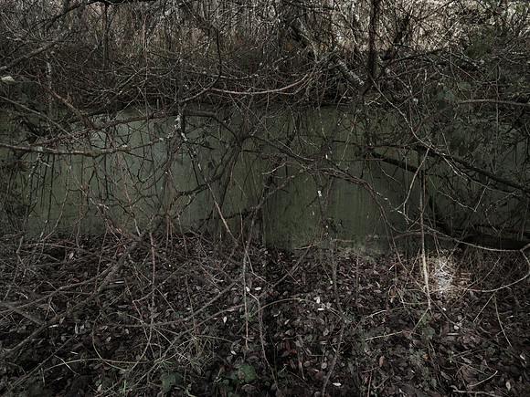 RIVER COLOUR-60