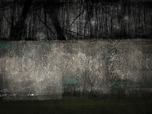 RIVER COLOUR-16