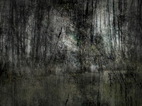 200717-1-15