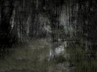 200717-1-4