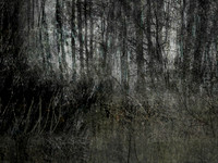 200717-1-10