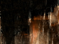 290617-1-6