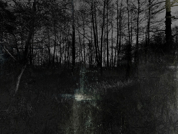 291116-4-8