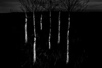 151214-177