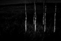 151214-179