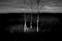 230417-2-7