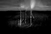 230417-2-1