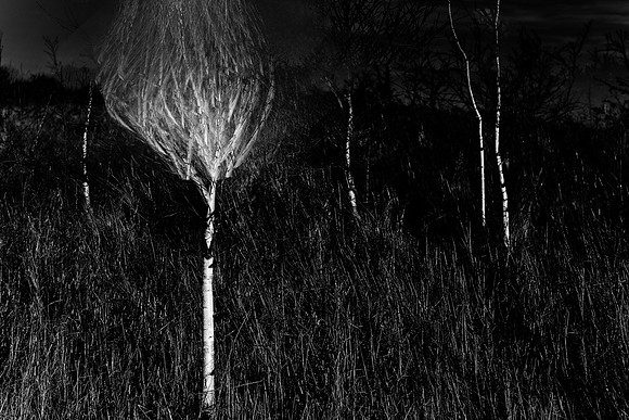 220417-2-12