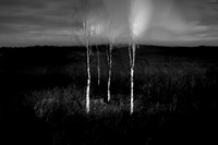 230417-2-8