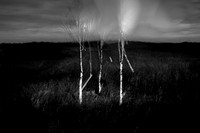 230417-2-4