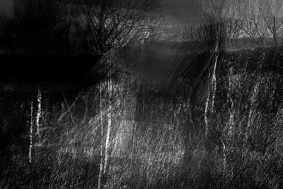 040517-2-6