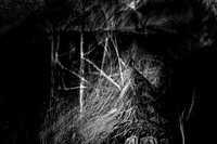 250417-4-7