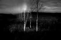 230417-2-5