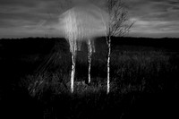 230417-2-20