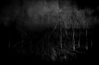 240417-2-6