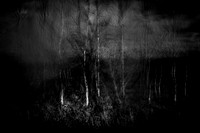 240417-2-8