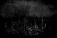 240417-2-9