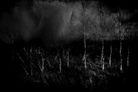 240417-2-7