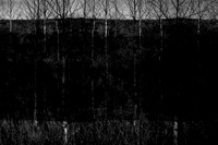 260316-2-6