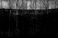 260316-2-7