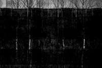 260316-2-15