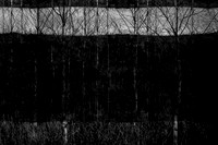 260316-2-17