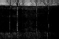 260316-2-4