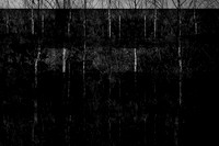 260316-2-14