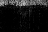 260316-2-3