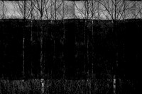 260316-2-11