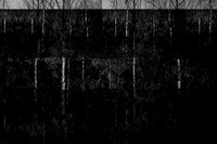 260316-2-10