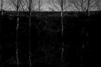 260316-2-5