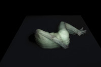 280314 #321