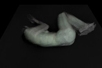 210314 #384