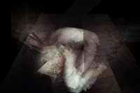 280617-1-5